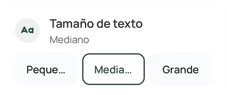 El ajuste de tamaño de fuente de la app Carely — pequeño, mediano, grande